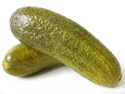 Image de CORNICHON ENTIER DELH 10KG