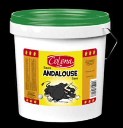 Image de SAUCE ANDALOUSE COLONA 3L