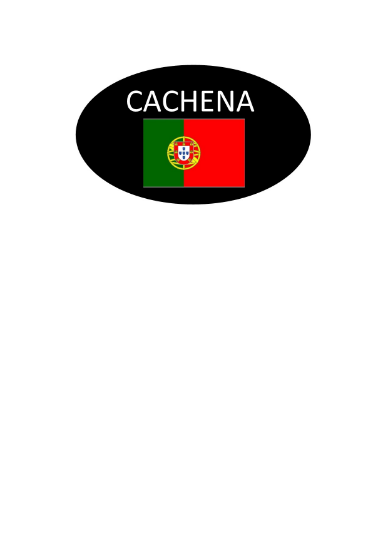 Image de AUTOCOLLANT "CACHENA" 45X27 1000PCS