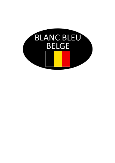 Image de AUTOCOLLANT "BLANC BLEU BELGE" 45X27 1000PCS