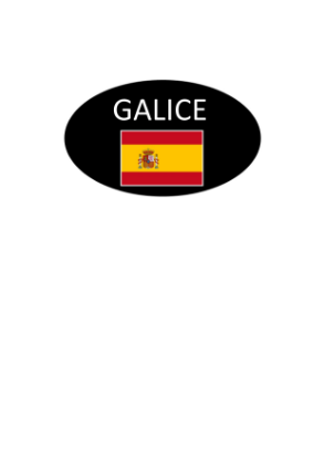 Image de AUTOCOLLANT "GALICE" 45X27 1000PCS
