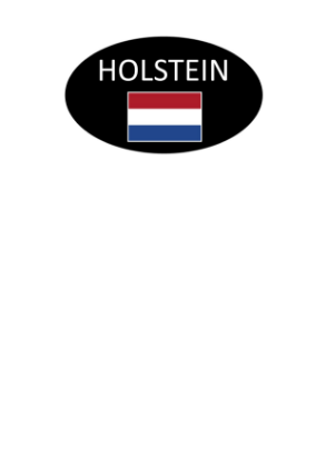 Image de AUTOCOLLANT "HOLSTEIN" 45X27 1000PCS