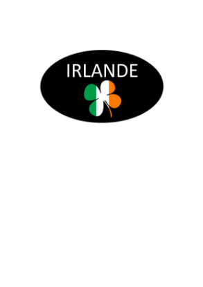 Image de AUTOCOLLANT "IRLANDE" 45X27 1000PCS