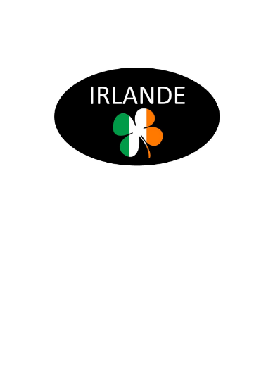 Image de AUTOCOLLANT "IRLANDE" 45X27 1000PCS