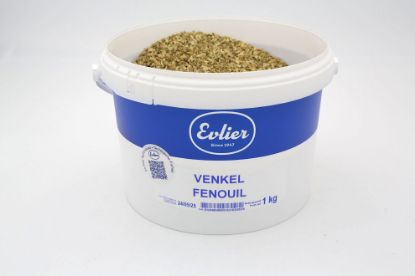 Image de FENOUIL GRAINS EVLIER 1KG