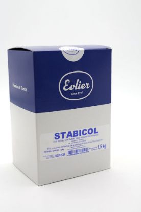 Image de STABICOL EVLIER 1.5KG