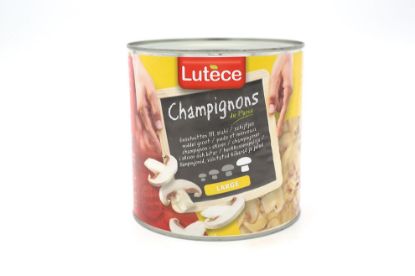 Image de CHAMPIGNONS HOTEL LUTECE 3L