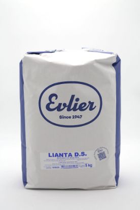 Image de LIANTA "DS" EVLIER 5KG