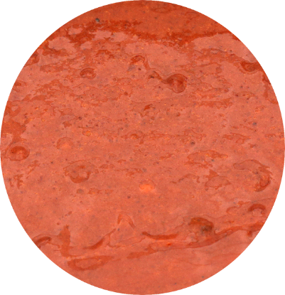 Image de MARINADE CHORIZO ELITE BUTCHER 3KG