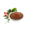 Image de VENEZIA 1KG Raps 0701